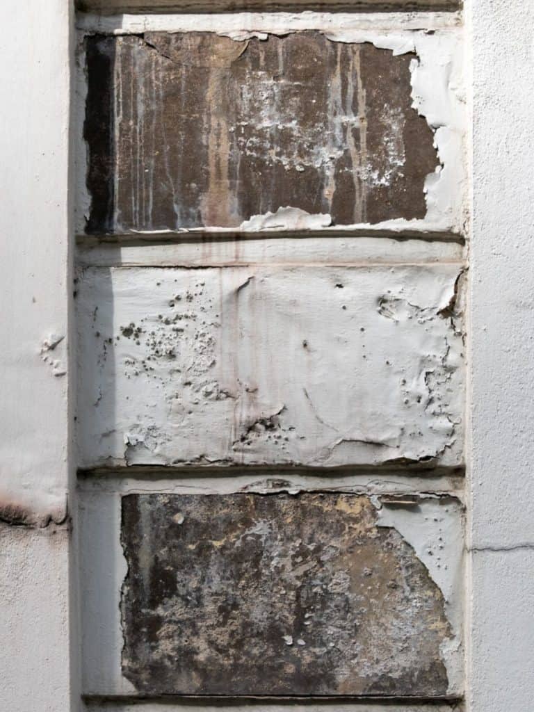 How Long Does Acrylic Paint Take To Dry?